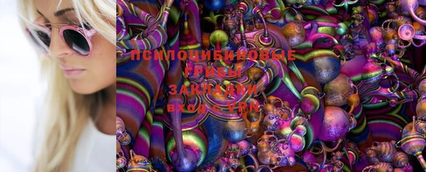 герыч Алексеевка