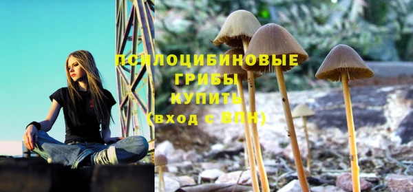 ECSTASY Алексин