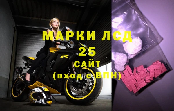 шишки Абаза