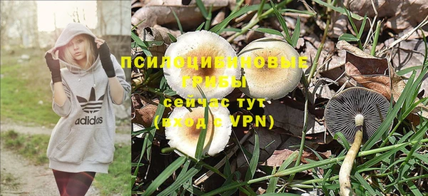 кристаллы Алзамай