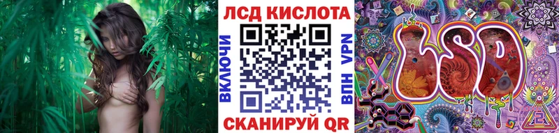 Наркотические марки 1,5мг  Топки 