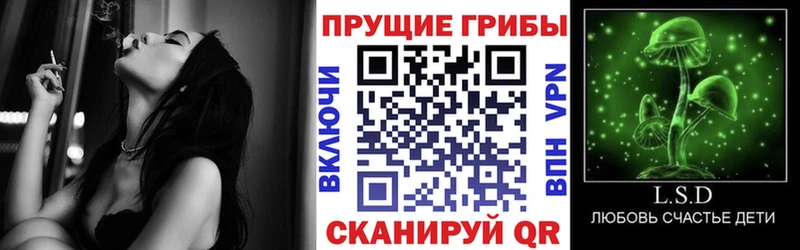 это официальный сайт  Топки  Галлюциногенные грибы Cubensis  что такое  