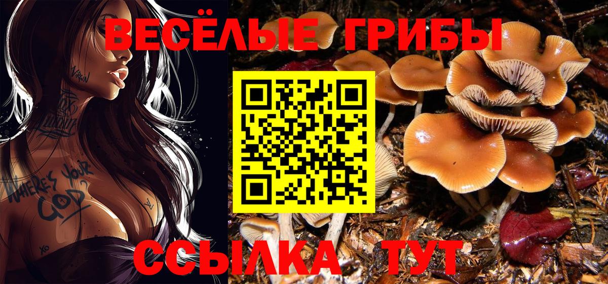 Топки  Псилоцибиновые грибы мухоморы  Вход с VPN  Галлюциногенные грибы Psilocybine cubensis 