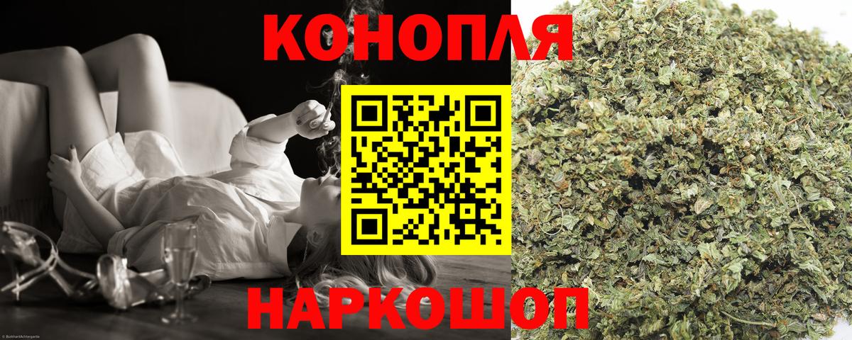 Топки  Бошки Шишки план  Бошки Шишки сатива  Вход с VPN  Конопля Bruce Banner 